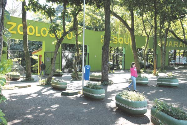 bosque-guarani-1