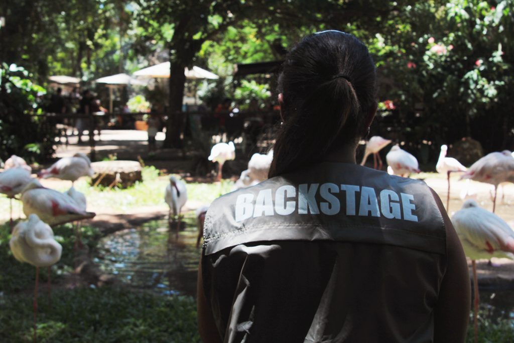 Backstage Experience 5
