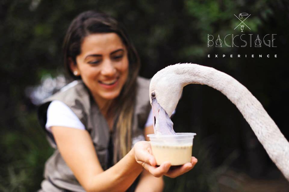 Backstage Experience Parque das Aves