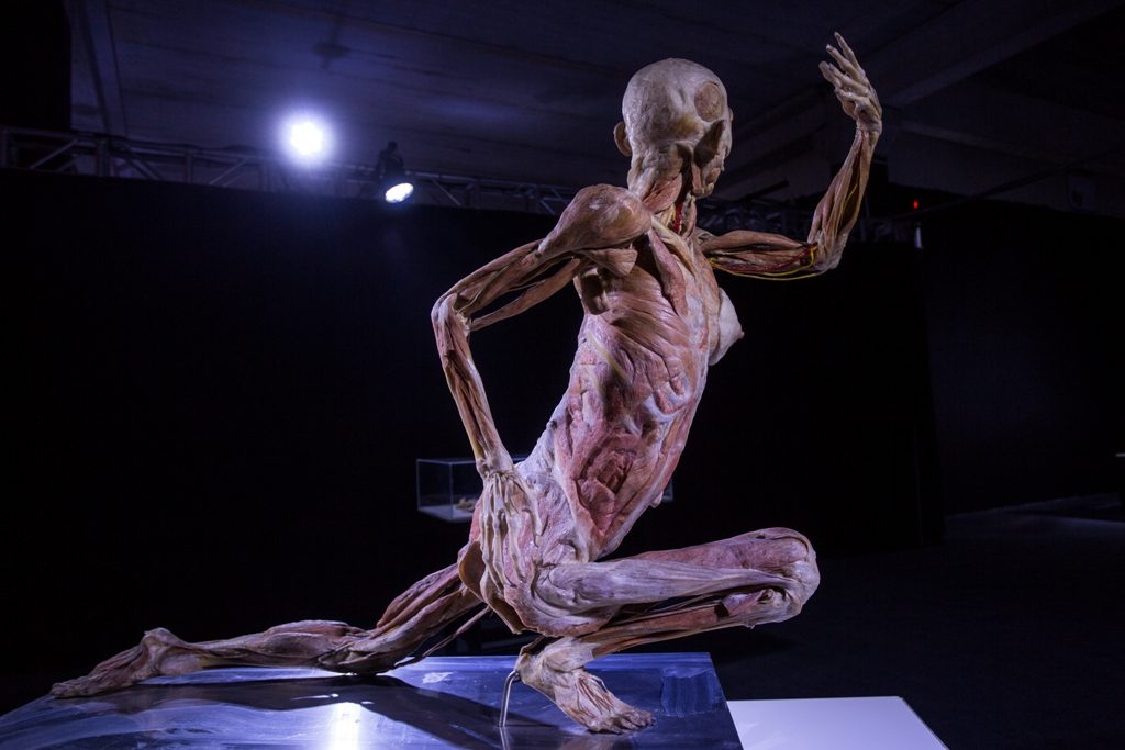 Human Bodies_Fotos Diego Migotto15