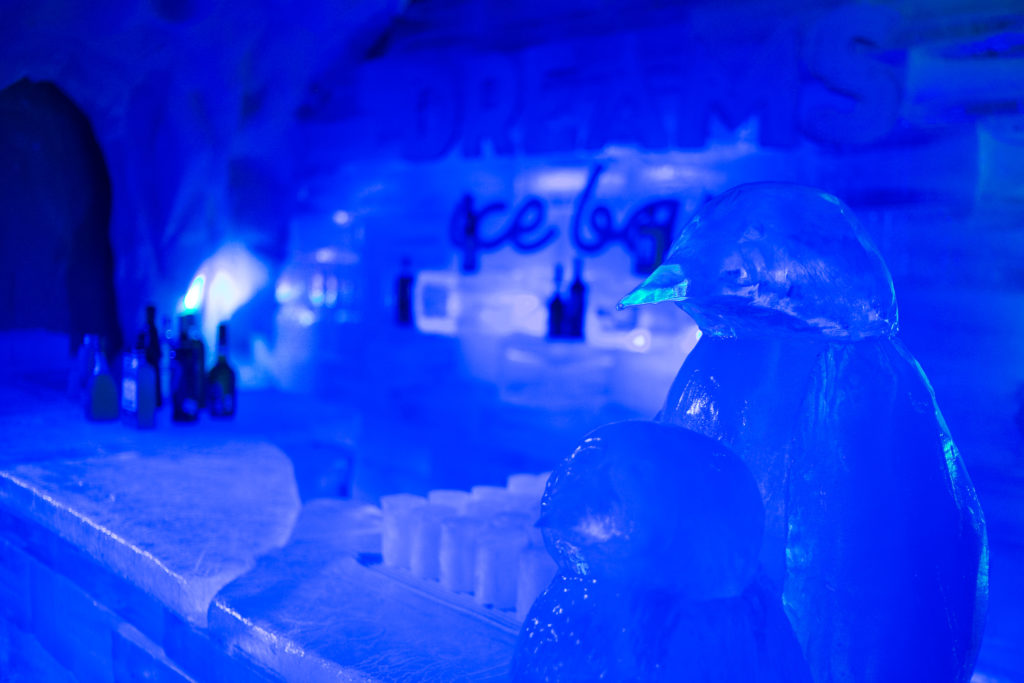 Sentir frio é muito bom! - Avaliações de viajantes - Dreams Ice Bar -  Tripadvisor