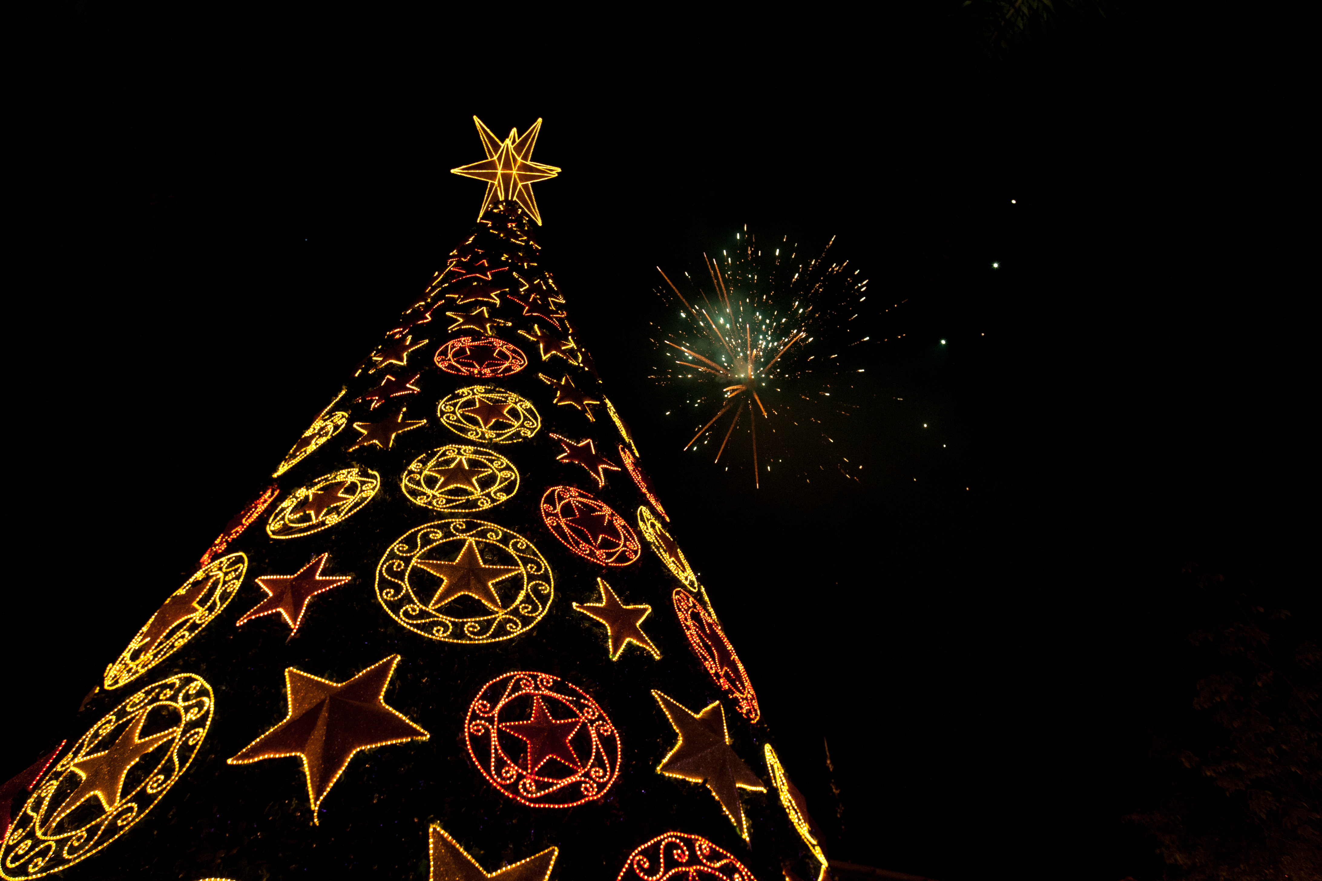 Decoração do Natal de Foz vai ter túnel de luz e árvore gigante - Clickfoz