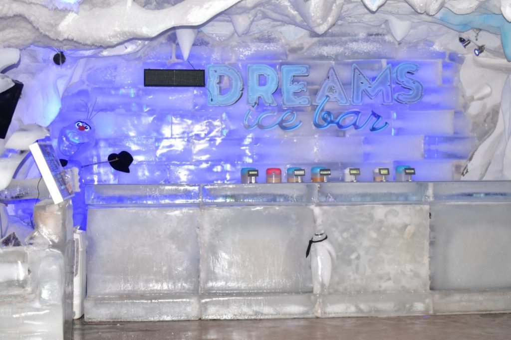 Dreamland-Dreams-ice-bar-foz-01 - Ninho de Jiripoca - Viagens com
